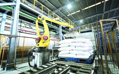 春耕備肥正當時 奮力爭先“開門紅”——化肥企業全力保障農資供應